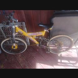 Bicicleta 