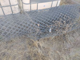 Chain link fence, 6' x 50'
