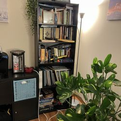 Bookshelf 