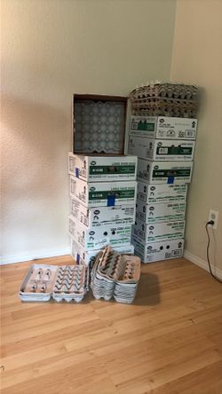 Free Egg Cartons