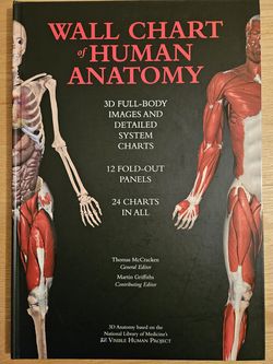 Wall Chart of Human Anatomy