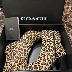 COACH        Boot New in box