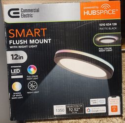 Smart flush mount light