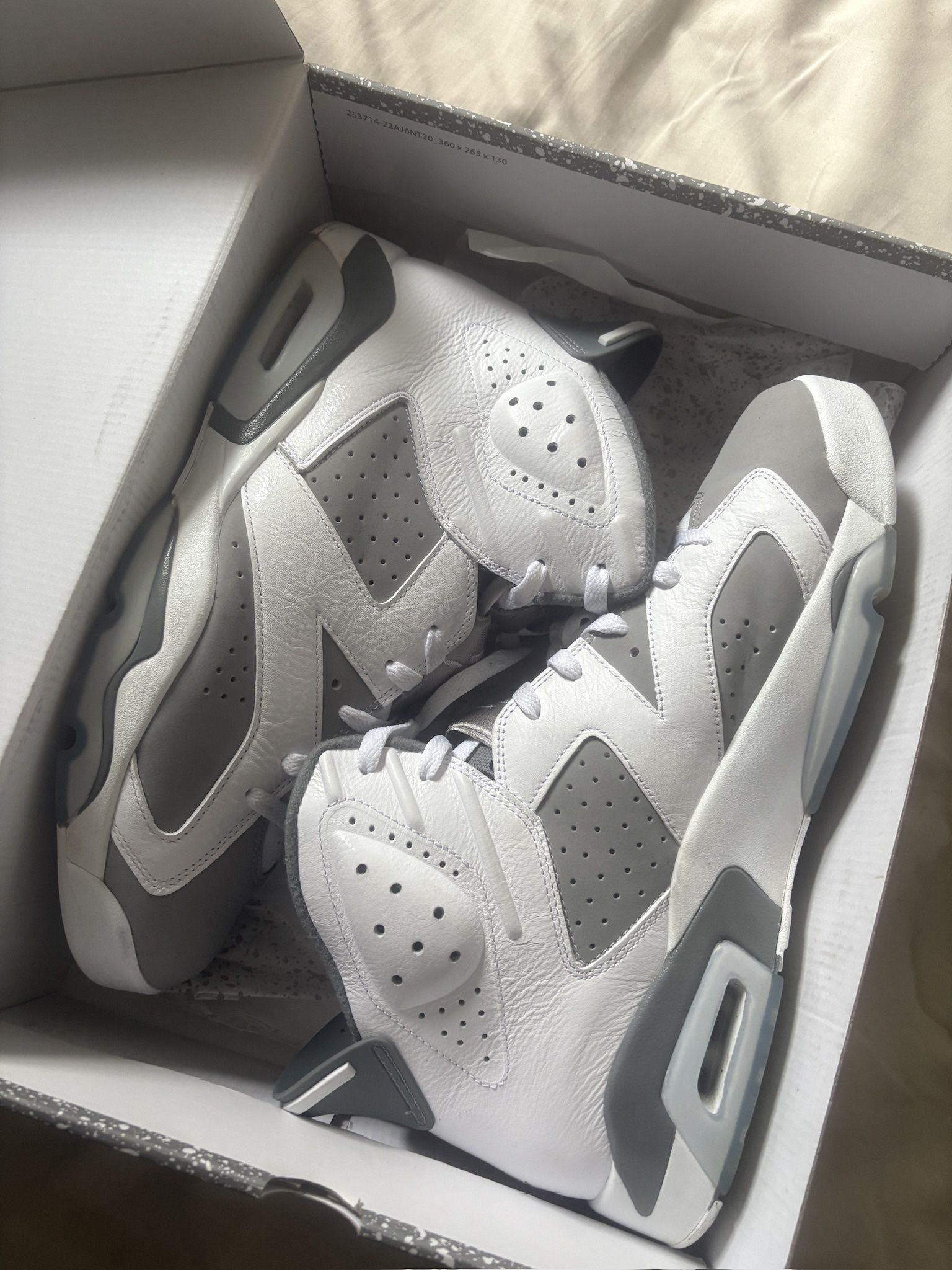 Jordan 6