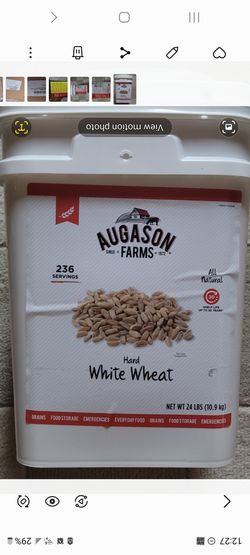 August Farms wheat berries 24lbs