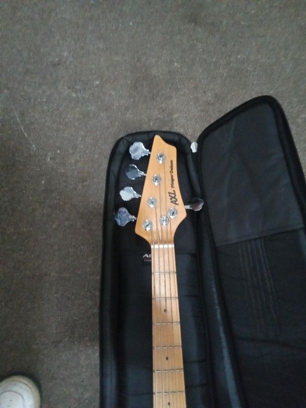 5 string Bass Ex Shape W Gig Bag