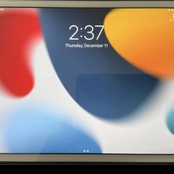 iPad Mini 4 - 128 GB