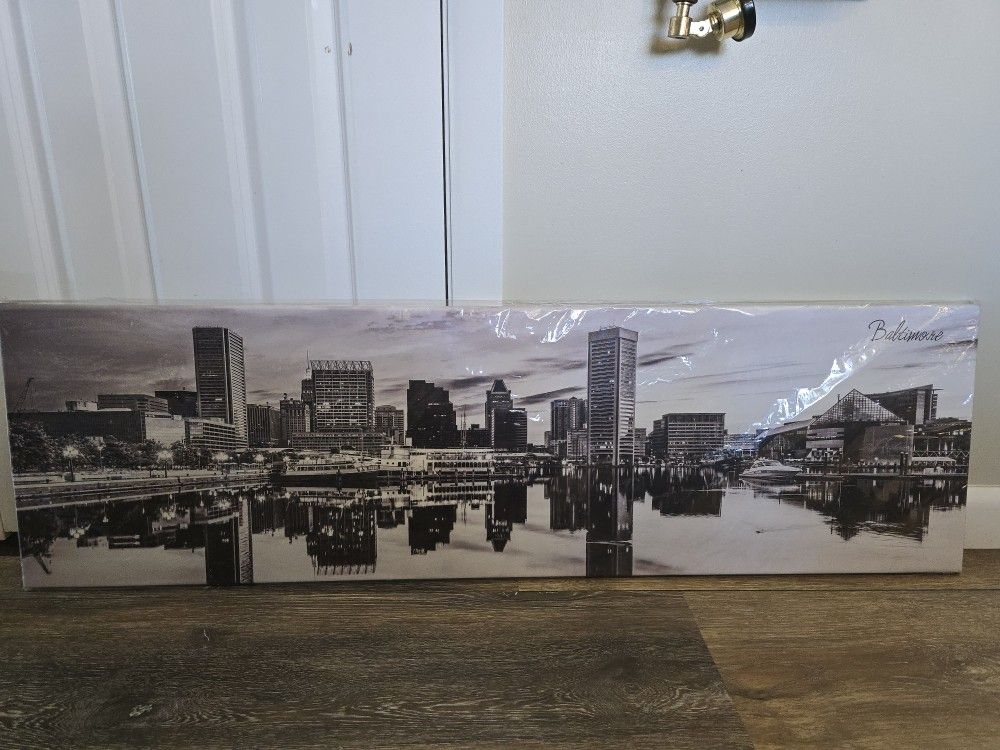 Baltimore Black Ans White Canvas