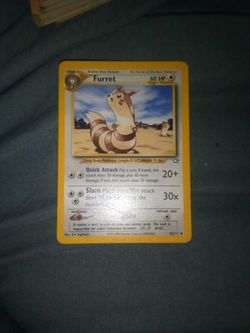 Furret Pokemon 