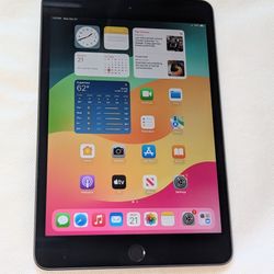 VERY NICE APPLE iPad MINI 5 64GB  LOW PRICE iOS18