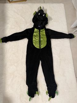 Dragon costume