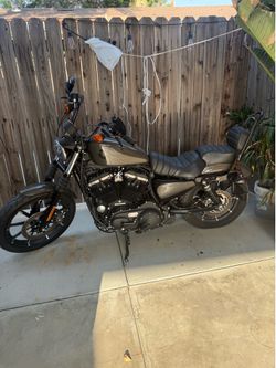 “2019 Harley-Davidson Iron 883 with only 2,000 miles! Impeccably maintained, in great condition. Custom seat and sleek black/gray look. Clean title, r