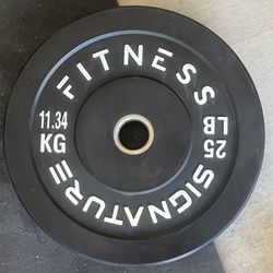 25 LB Weight Bumper Plates