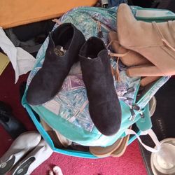 Arizona's size seven and a half normal wear