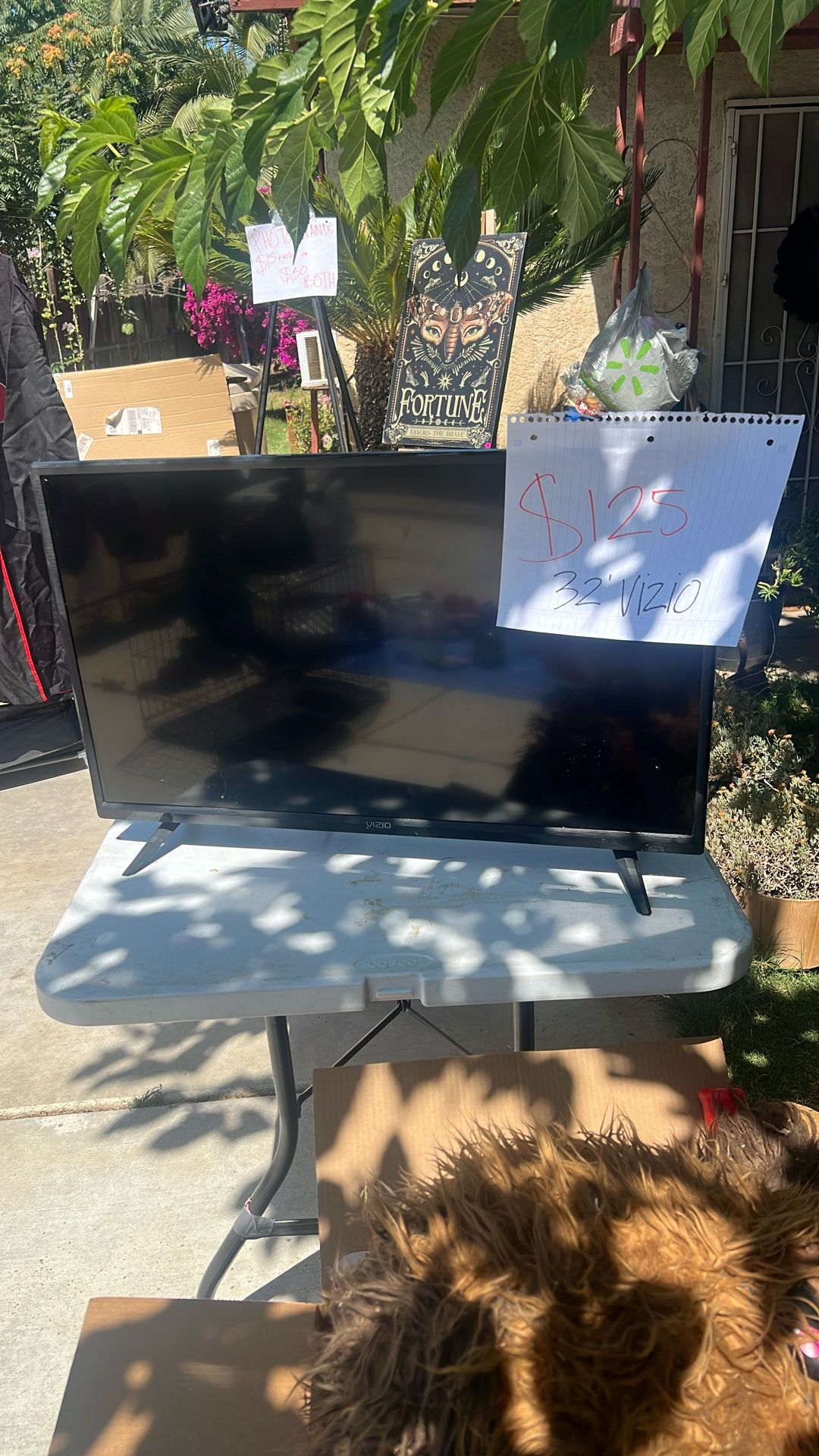 32 Inch Vizio