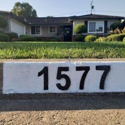 Curb painting