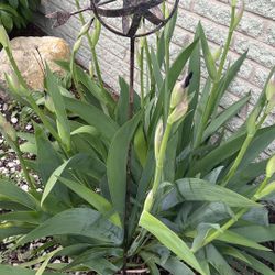 Garden Metal Decorations Yard Stake 