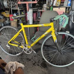 Giant Bike Alluvium Alloy 