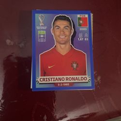 Panini World Cup