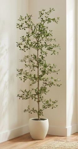 Faux 6.5' Black Olive Tree 