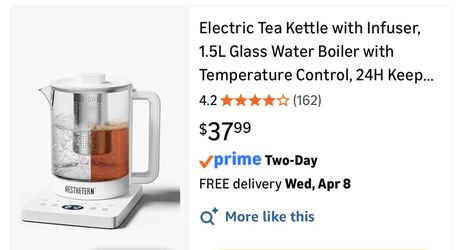 Electric Tea Kettle with Infuser
