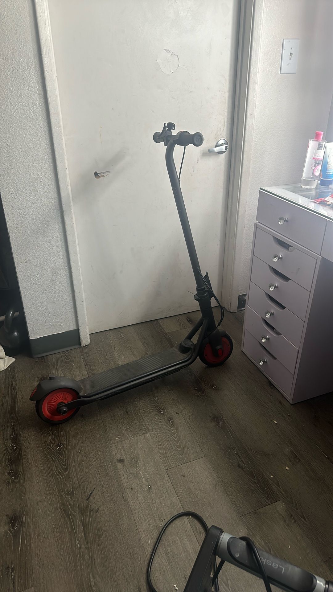 Ninebot Electric Scooter