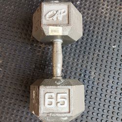 65 Pound Dumbbell 