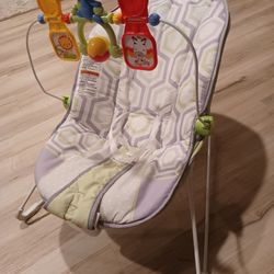 Baby Bouncer