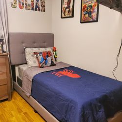 Twin Bed  Frame & Box Spring