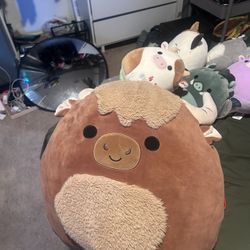 Large Squishmellow