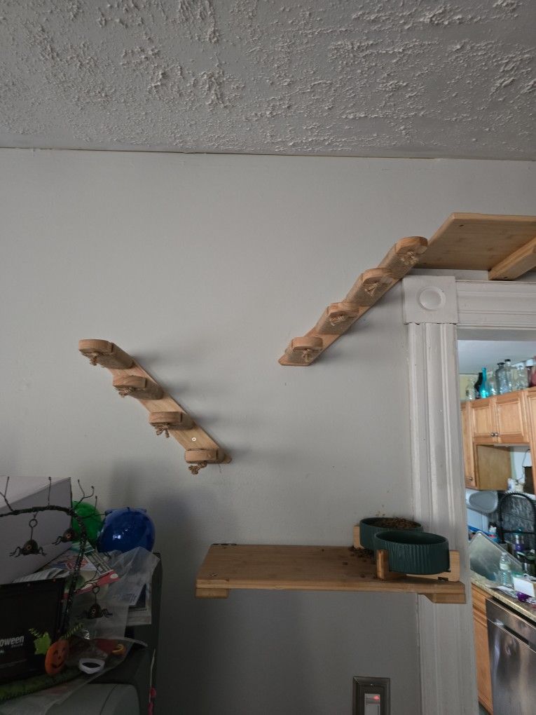 Cat Stairs Cat Tower
