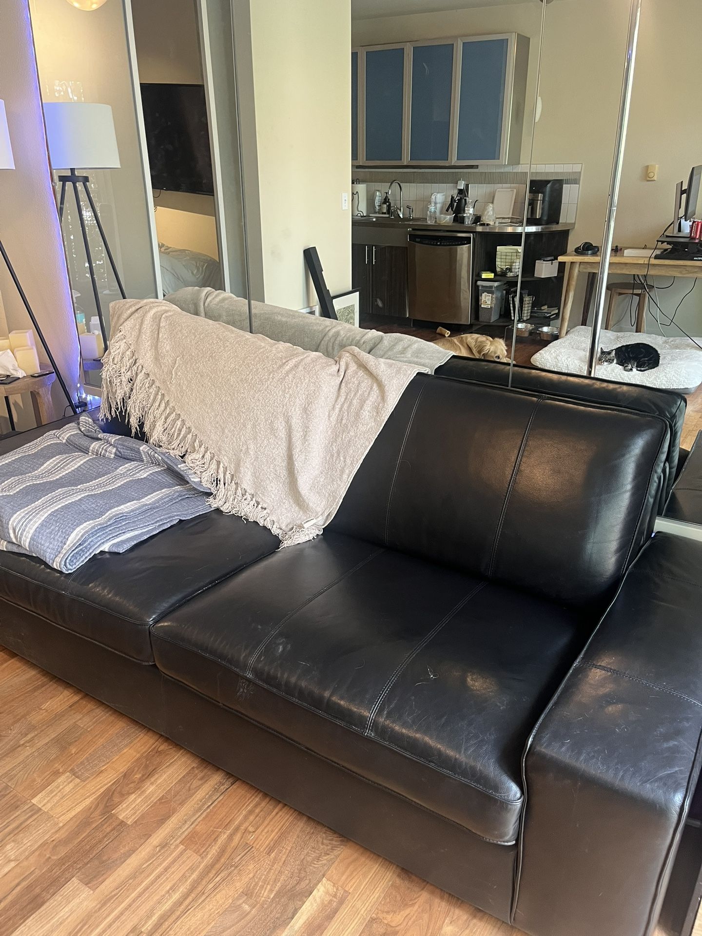IKEA Leather Couch