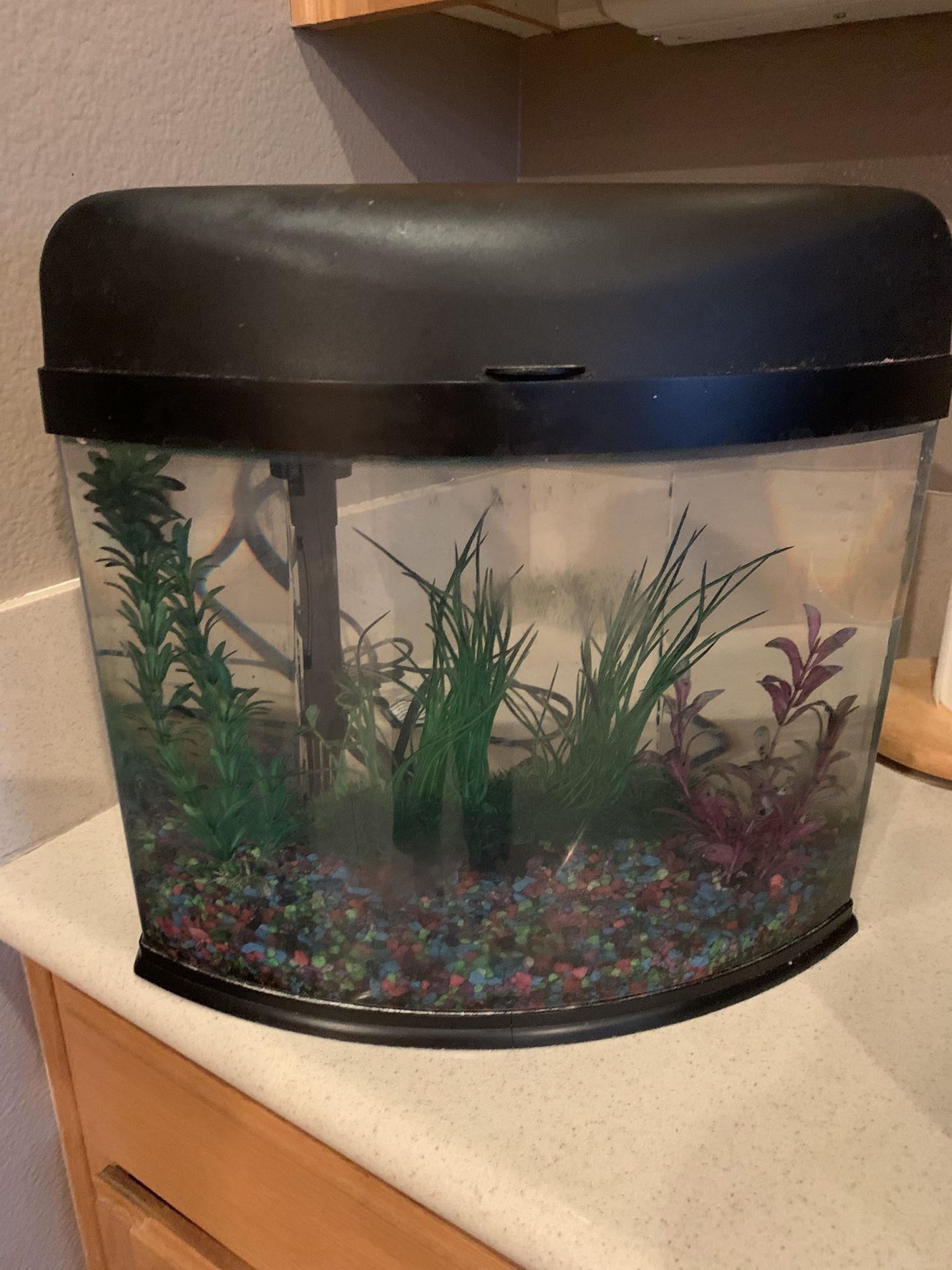 Aquarium