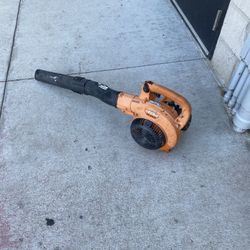 Echo Blower! (Works Great)