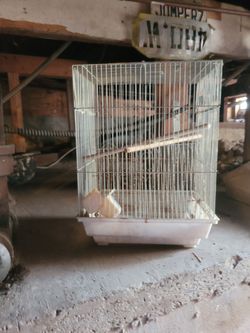 mini bird cage