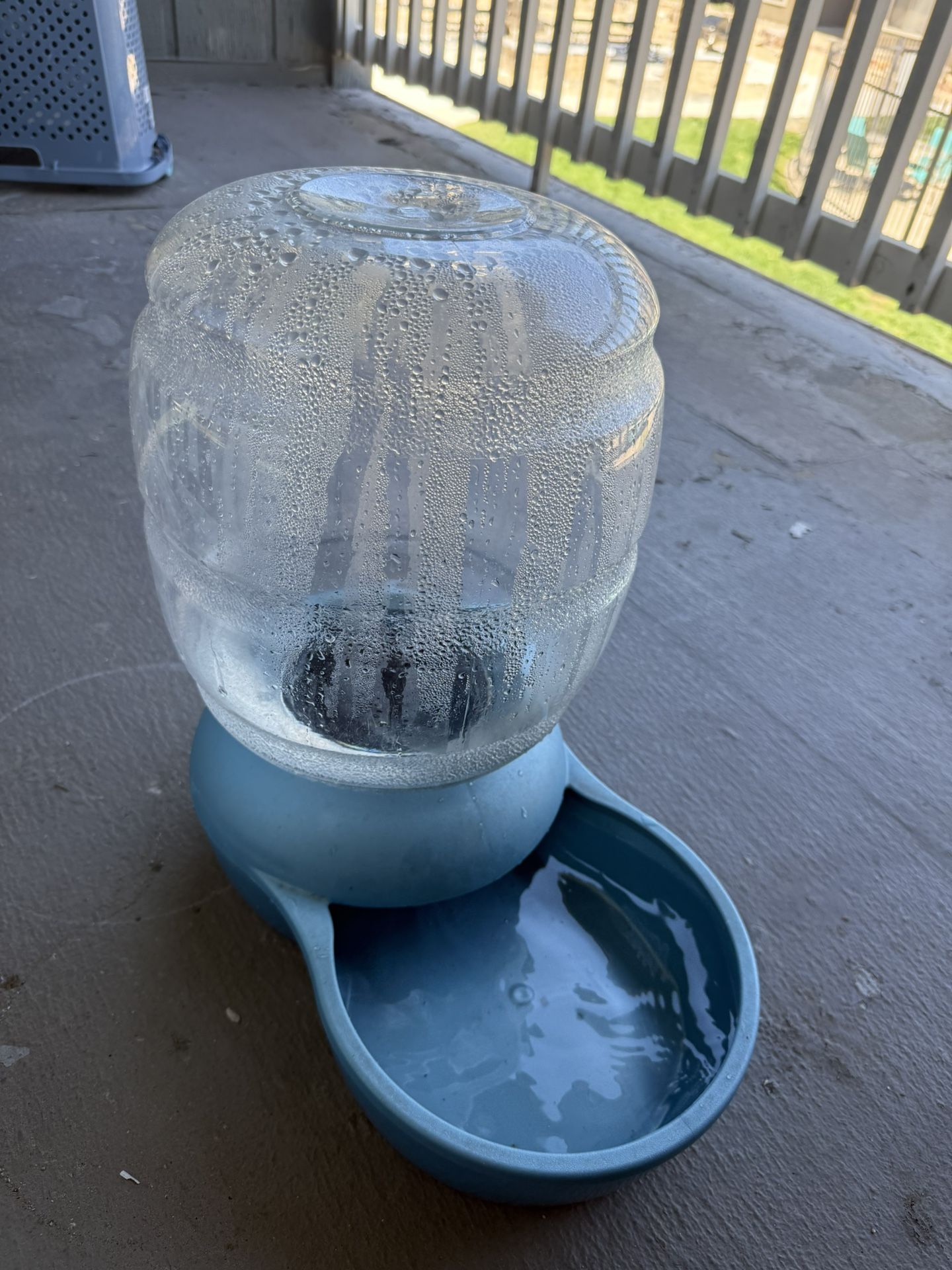 Water Dispenser pets