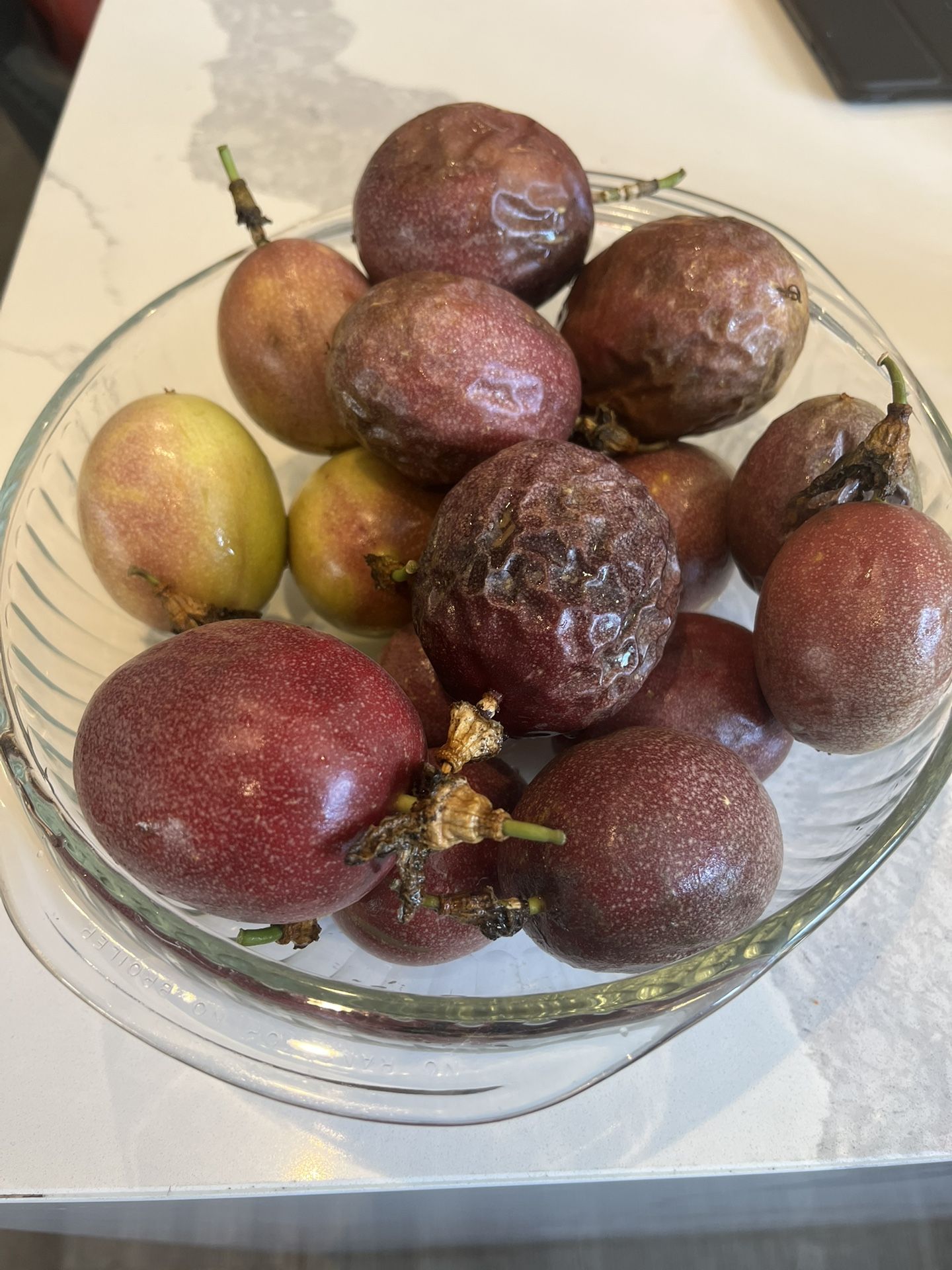 Passion Fruit For Sale