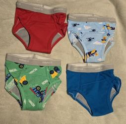 Hanes Toddler Boys' 4pc. Briefs - 4T