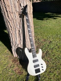 Jackson Bass *NEED GONE* see desc.