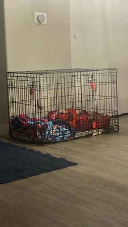 Big dog kennel