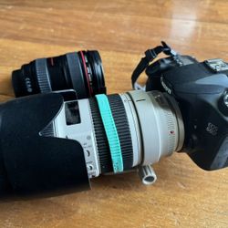 Canon EOS 60D w/ 70-200mm F2.8 Lens