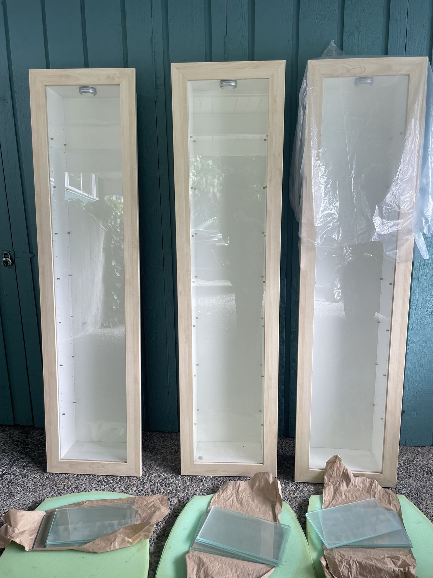 One Display Case Wall Mount 16x8x66