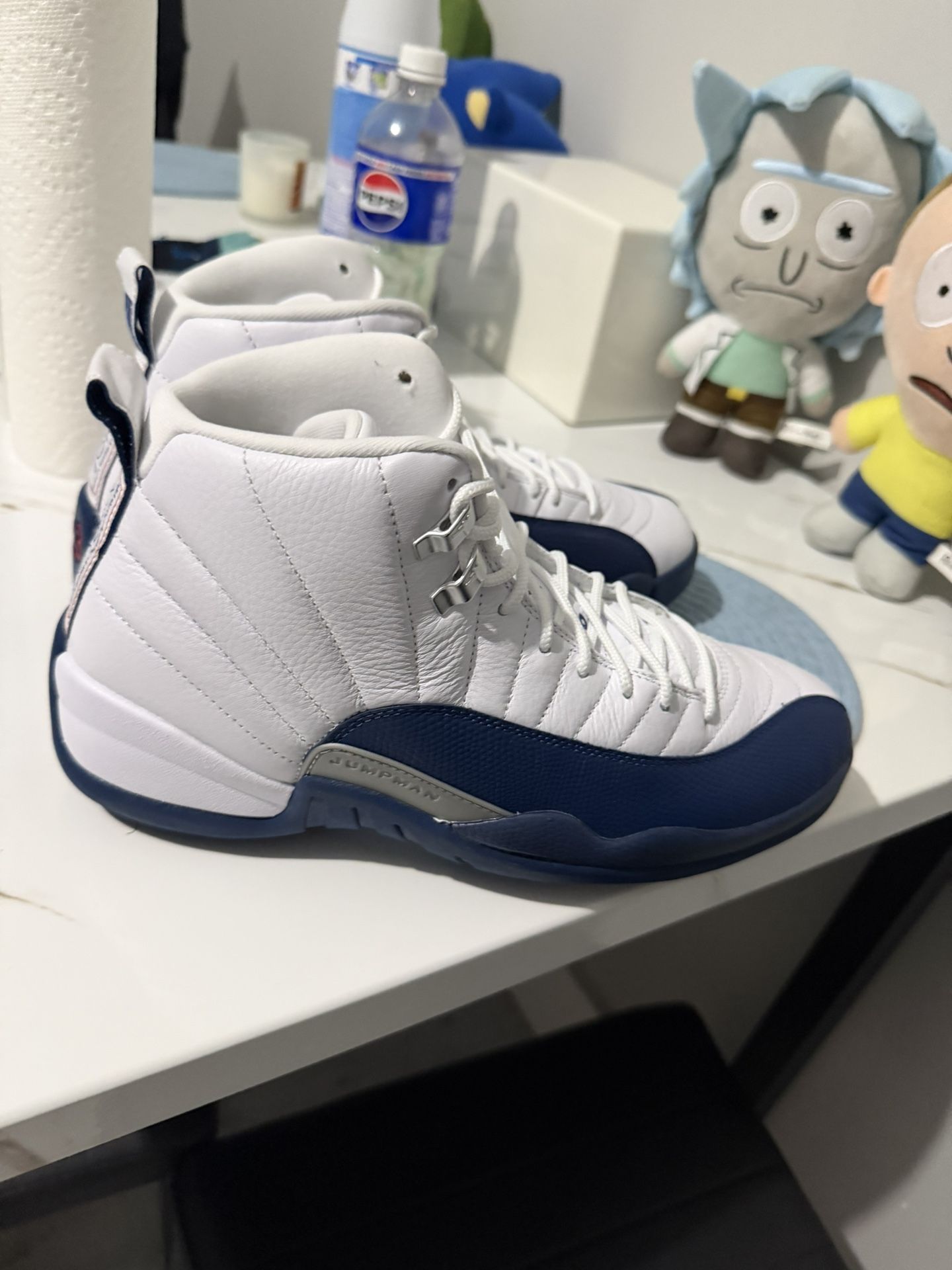 Brand New Jordan Frenchie Blue 12 
