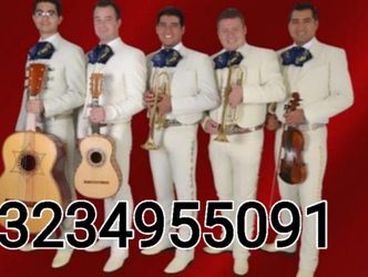Violín, Vihuela