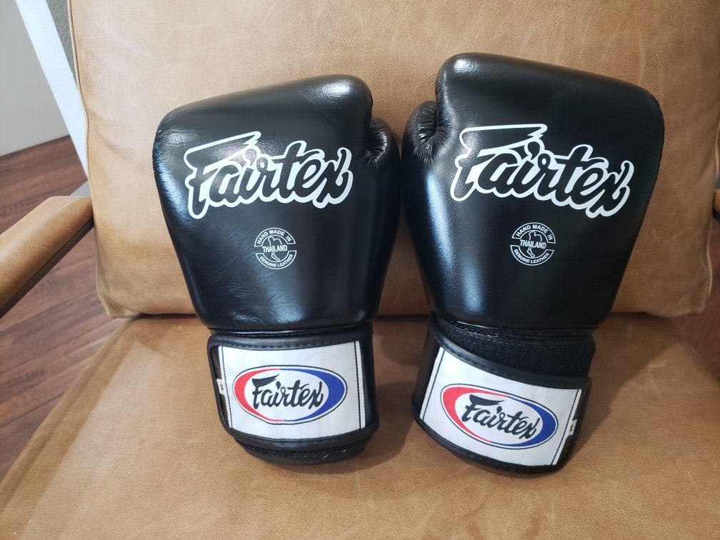 Fairtex Muay Thai Boxing Gloves BGV1 14oz