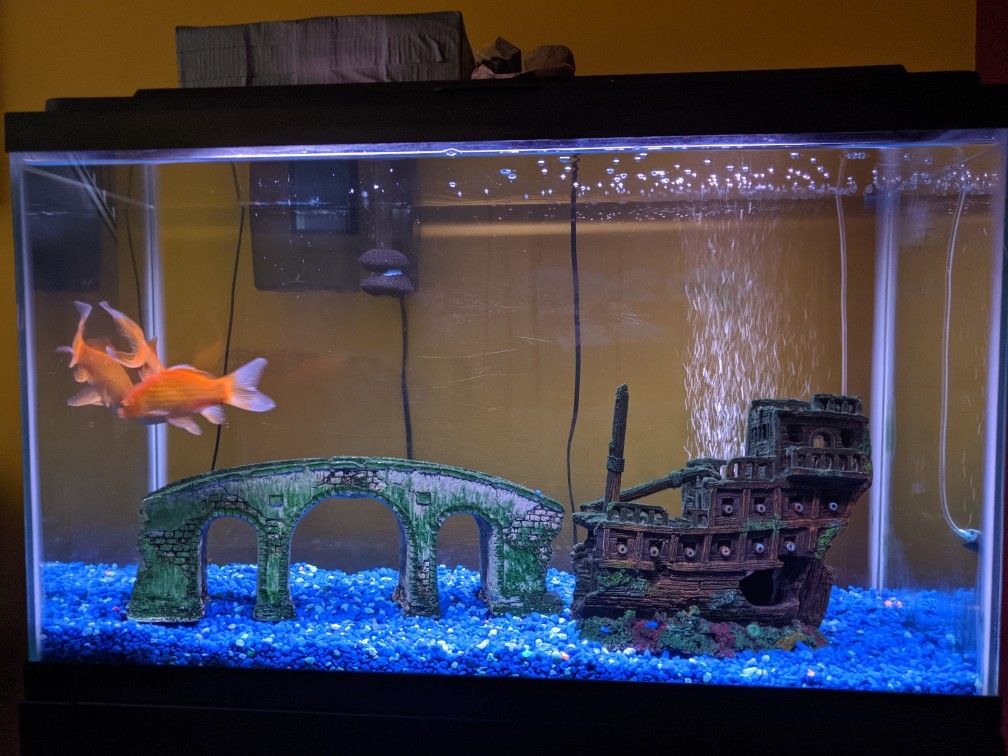 AQUARIUM with STAND