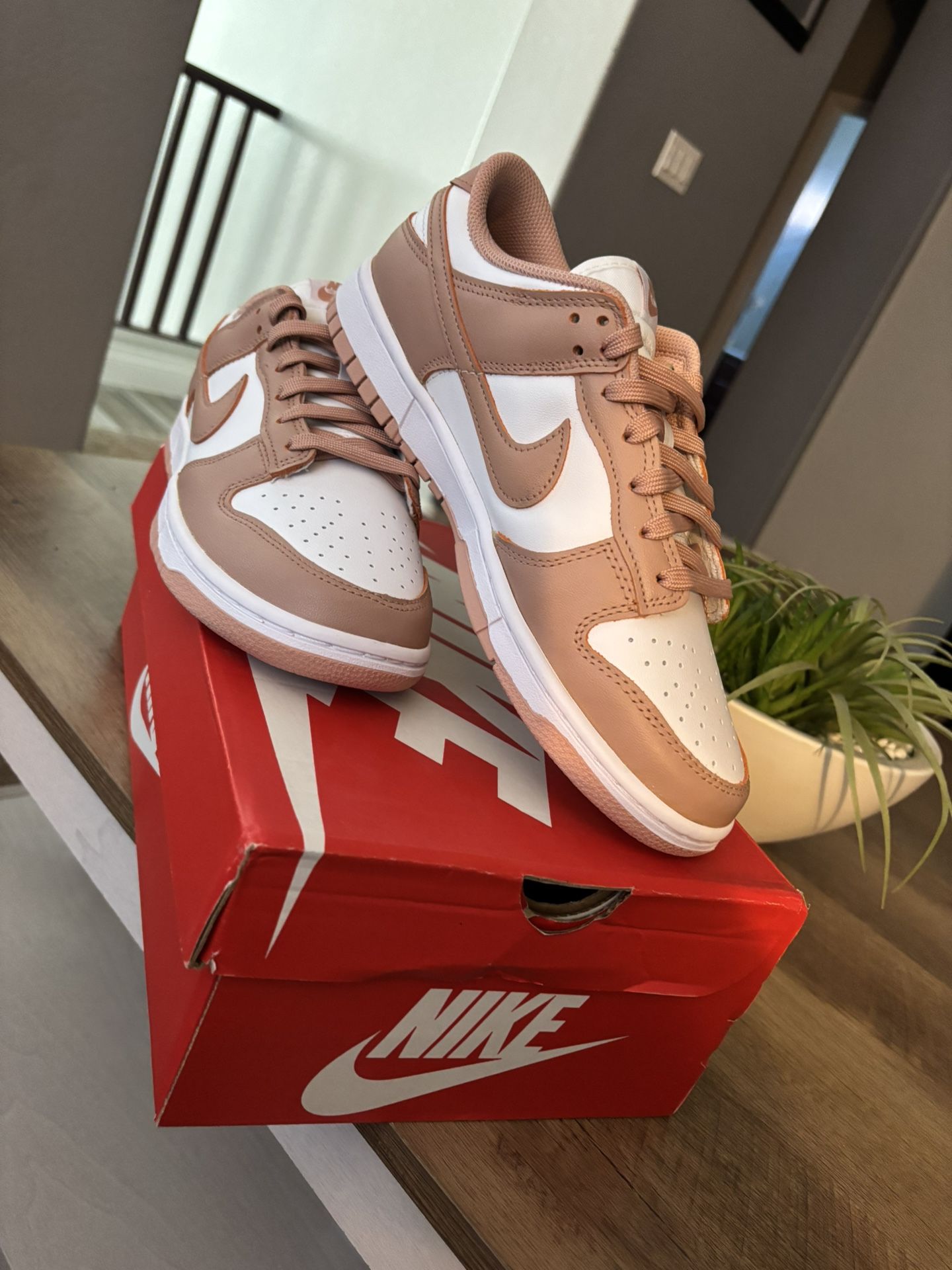 Low Nikes (BEST PRICE)