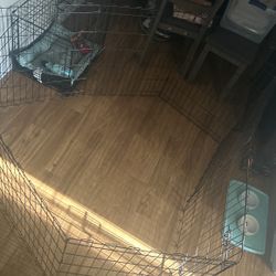 Dog Cage 