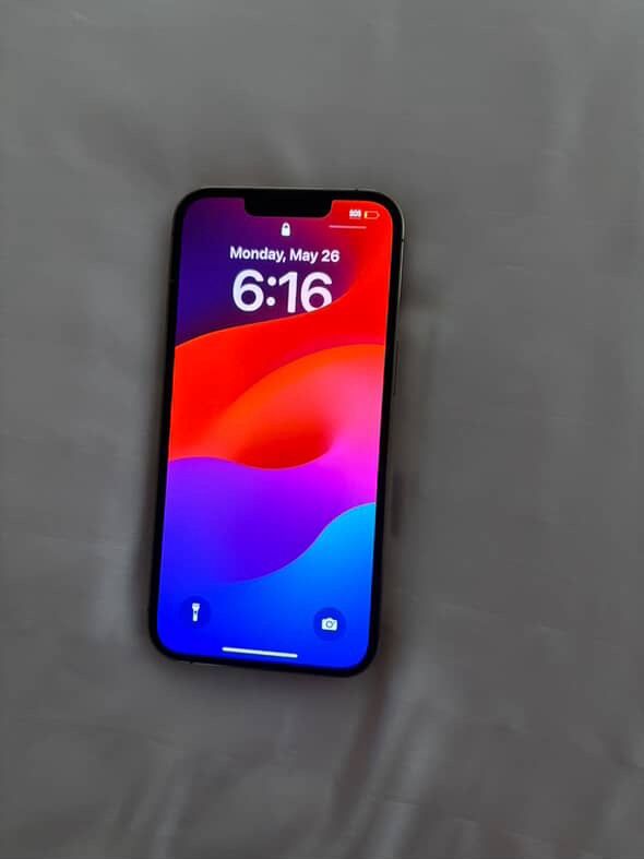 iPhone 13 Pro Max