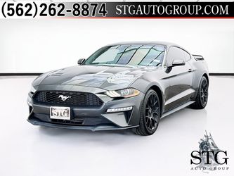 2019 Ford Mustang
